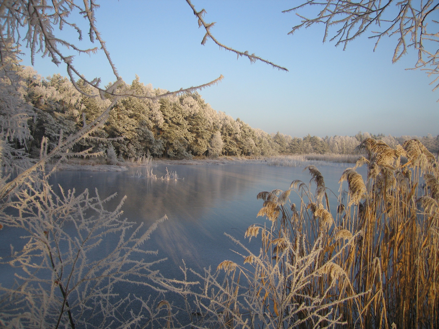 Fischteiche