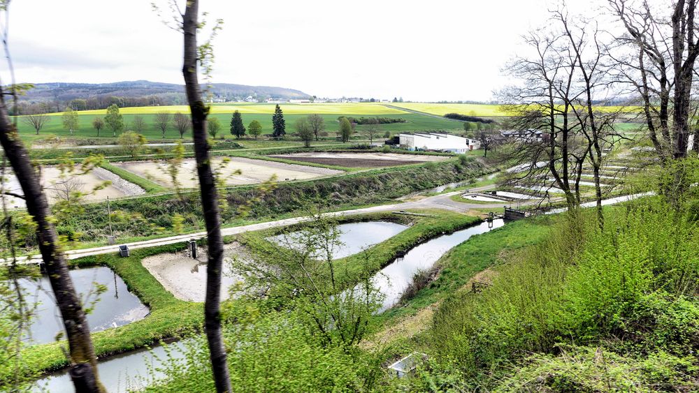 Fischteiche im Westerwald