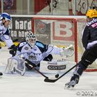 Fischtown Pinguins vs SC Riessersee