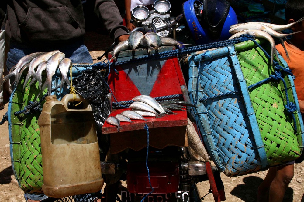 Fischtransporter auf Sulawesi