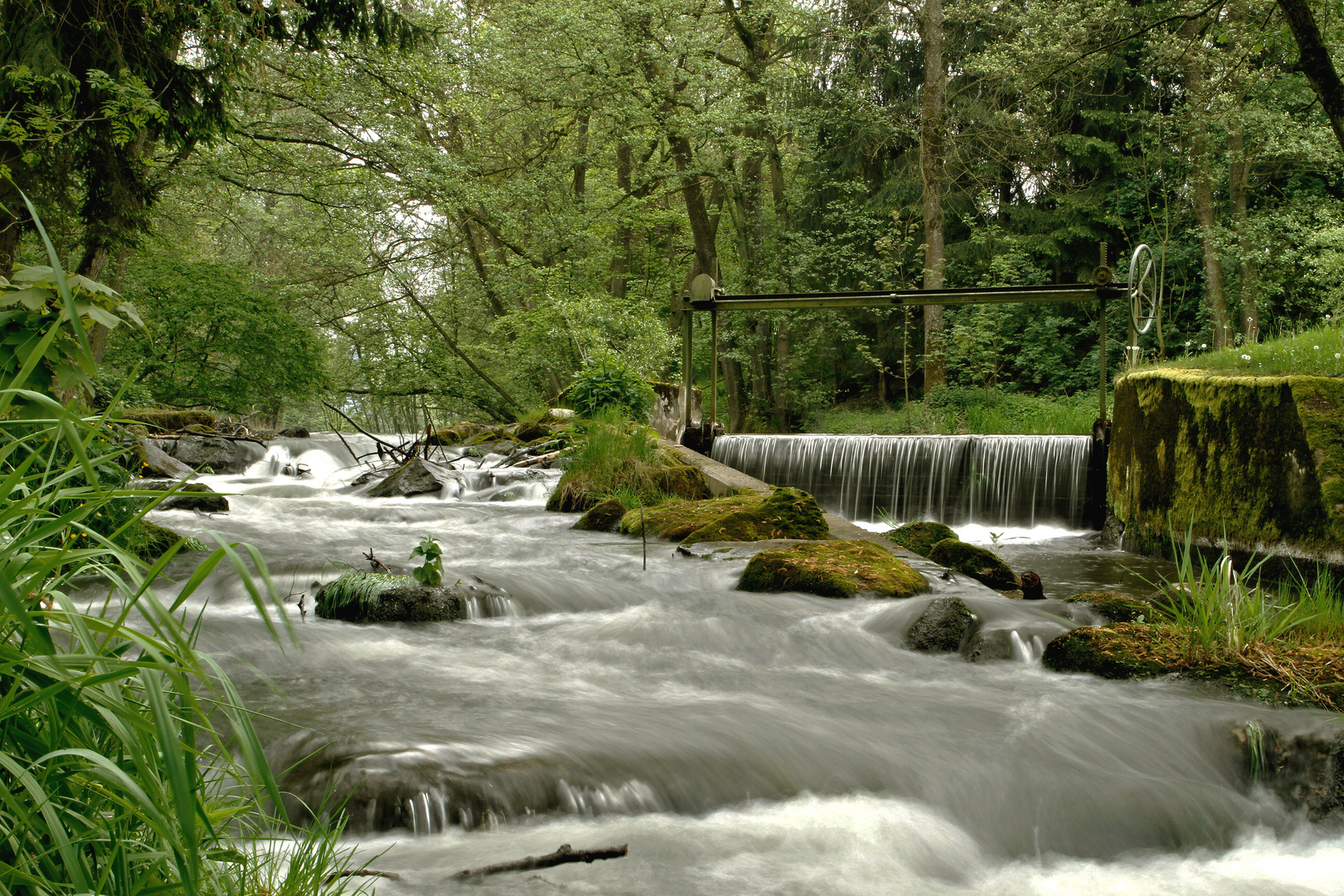 Fischtreppe am Wasserfall 1