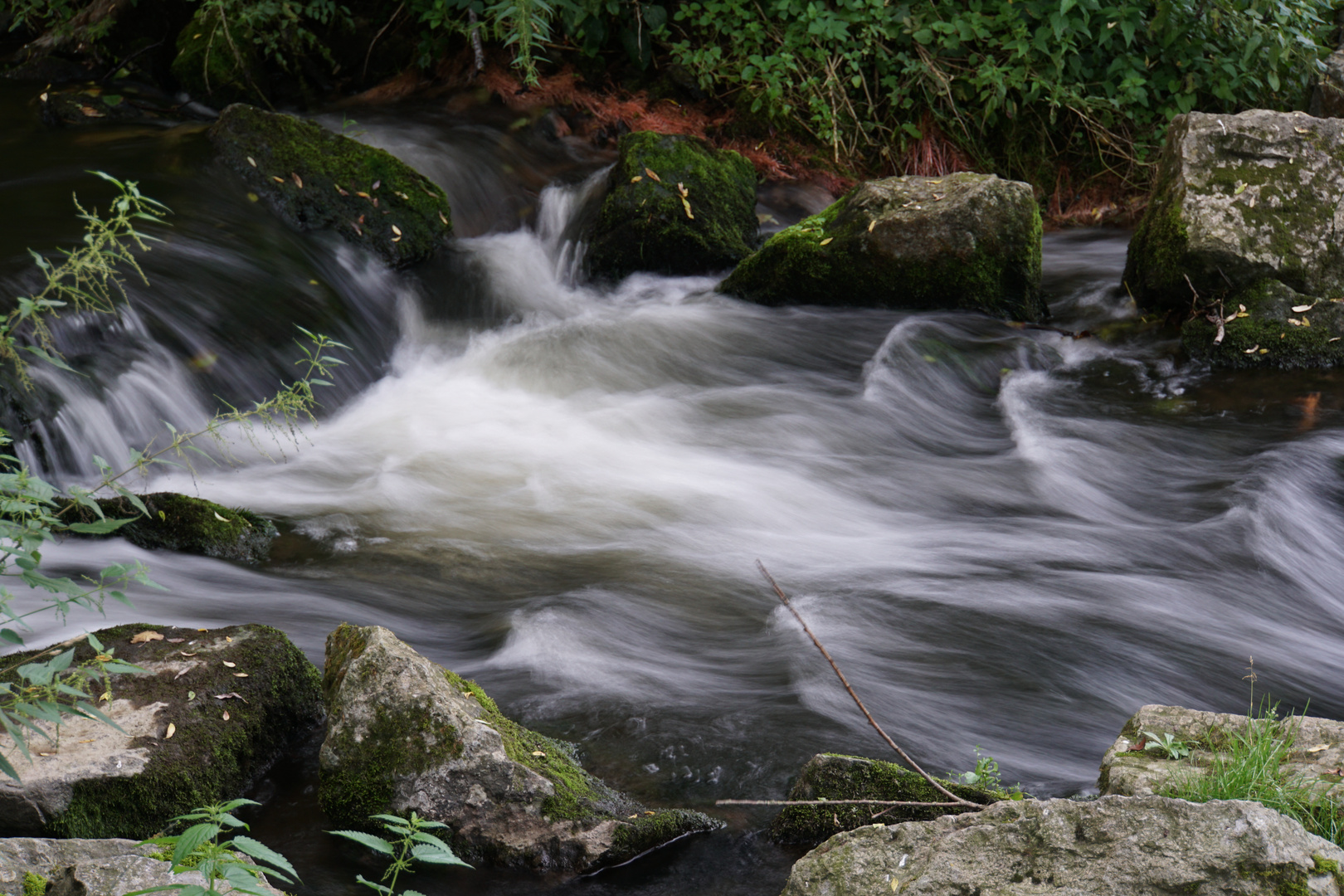 Fischtreppe an der Enz