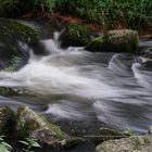 Fischtreppe an der Enz