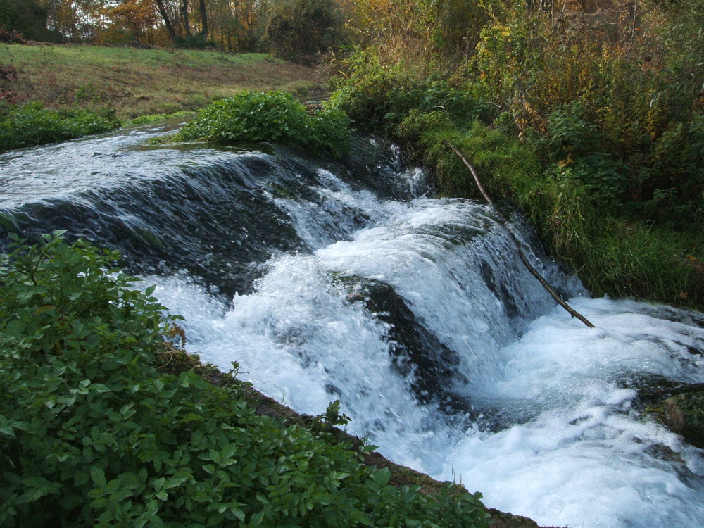 Fischtreppe an der Isar