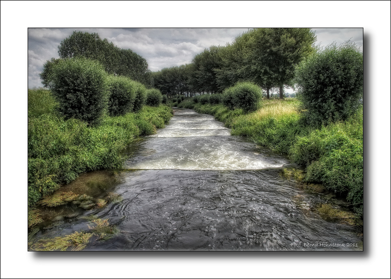 Fischtreppe in den Maasplassen bei Roermond ....