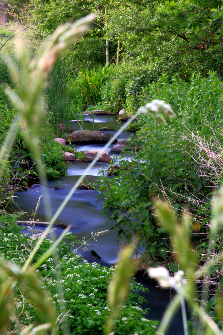 Fischtreppe in Müden