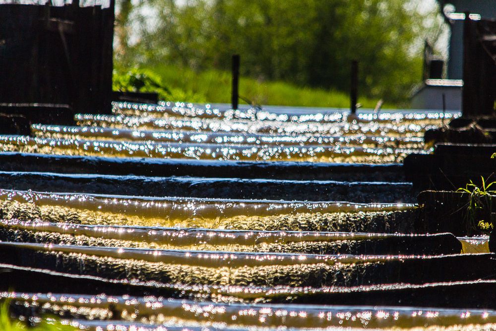 Fischtreppe Landesbergen