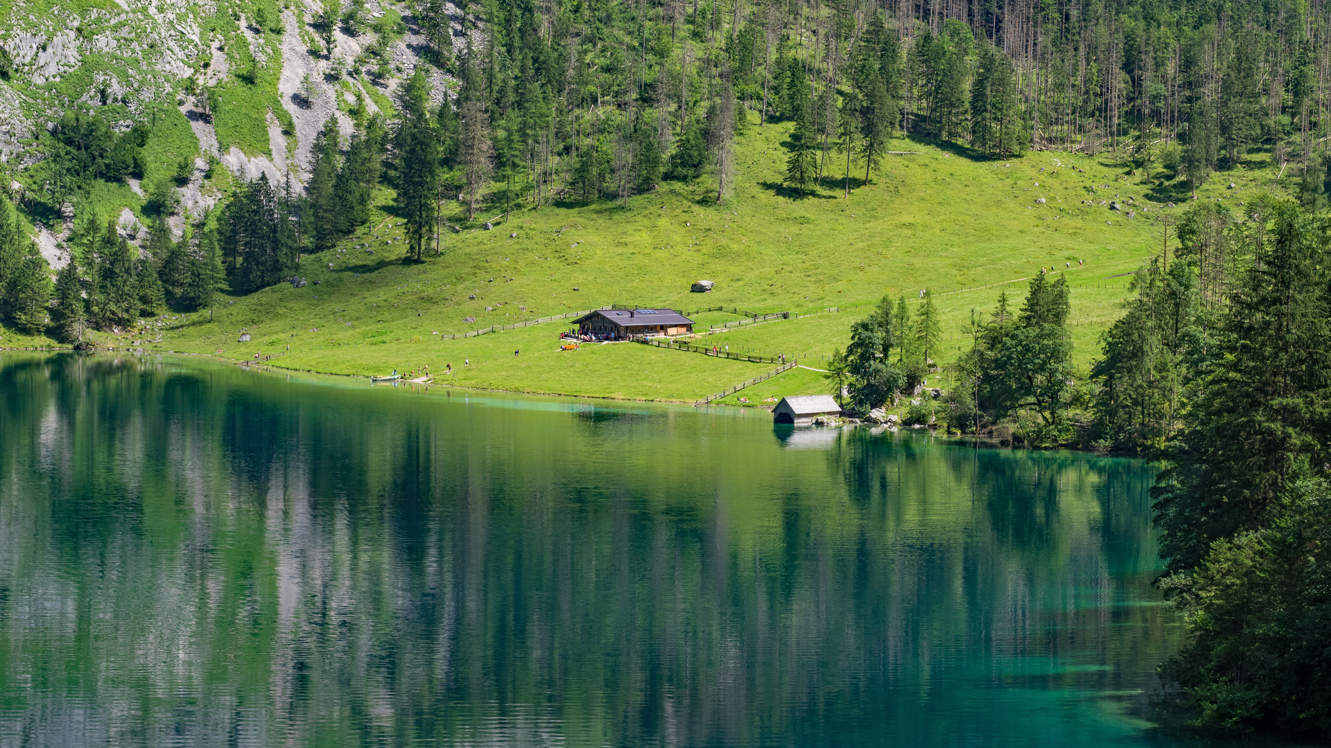 Fischunkelalm