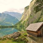 Fischunkelalm am Königssee