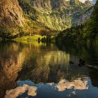 Fischunkelalm am Obersee