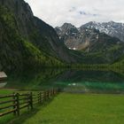 Fischunkelalm am Obersee