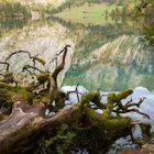 Fischunkelalm mit Obersee