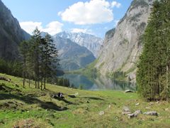 Fischunkelalm und Watzmannblick