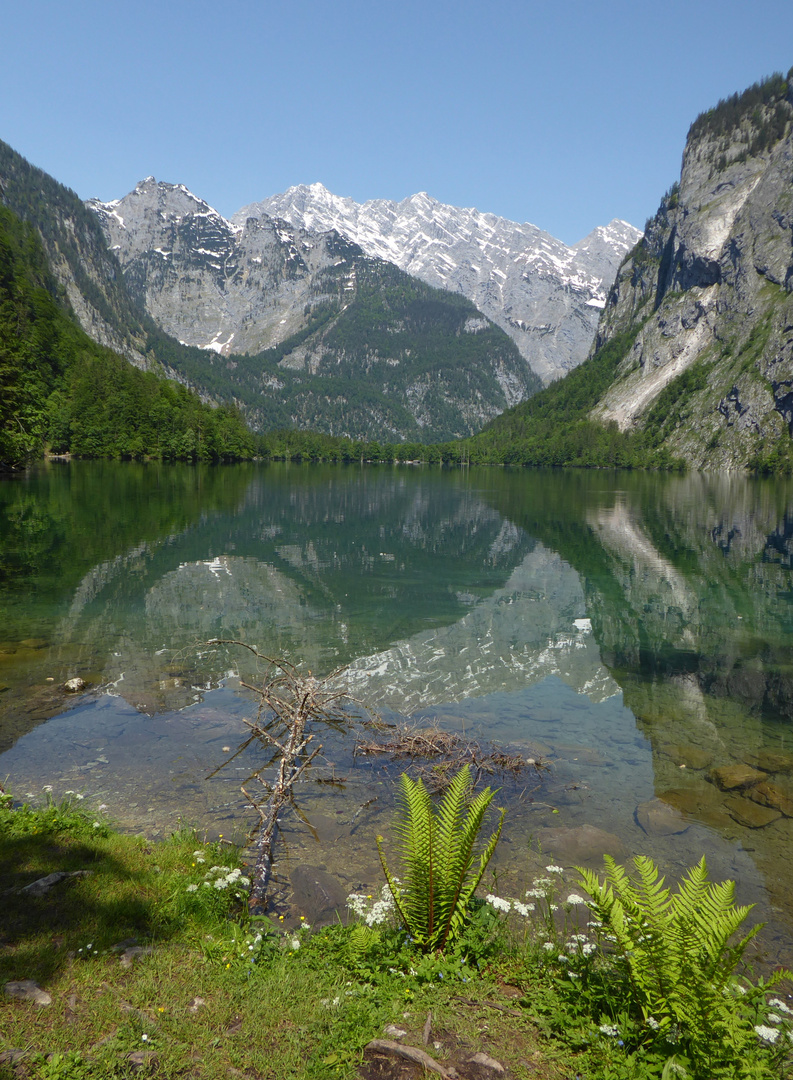 Fischunkenalm / Blick zum Watzmann