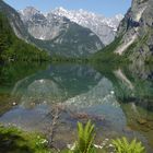 Fischunkenalm / Blick zum Watzmann