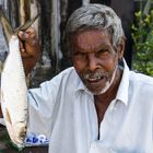 Fischverkäufer inAluthgama / Sri Lanka