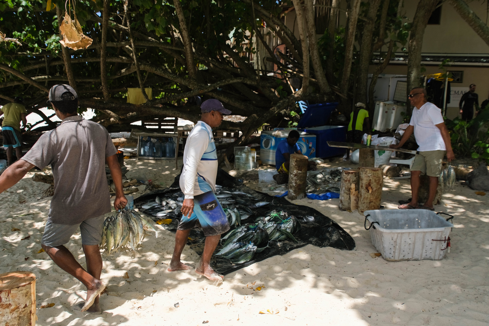 ...Fischverkauf am Beau Vallon...