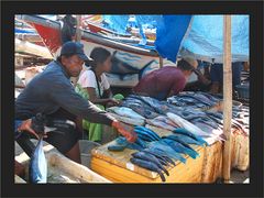 Fischverkauf in Jimbaran