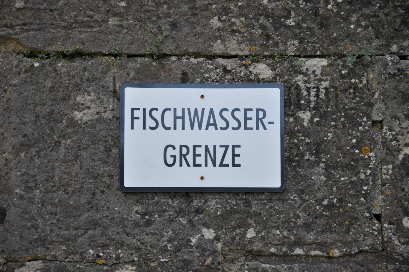 Fischwassergrenze