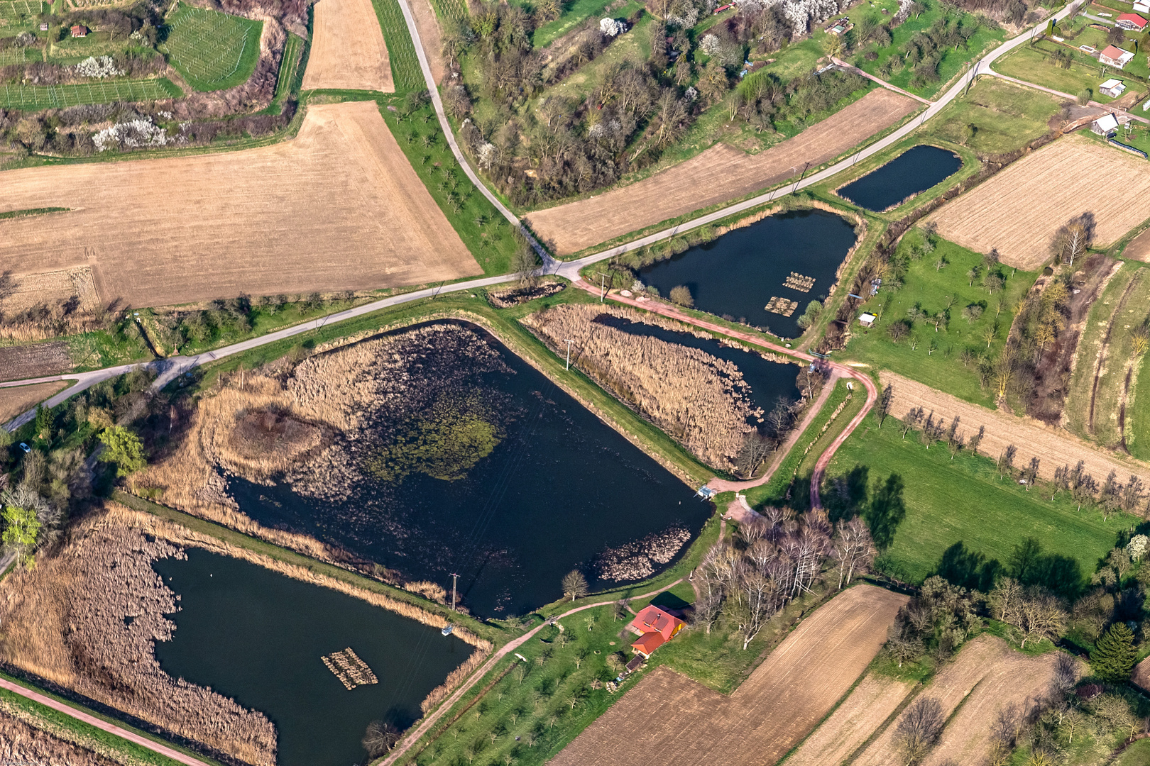 Fischweier Ettenheimweiler 2