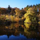 Fischweiher