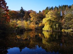 Fischweiher