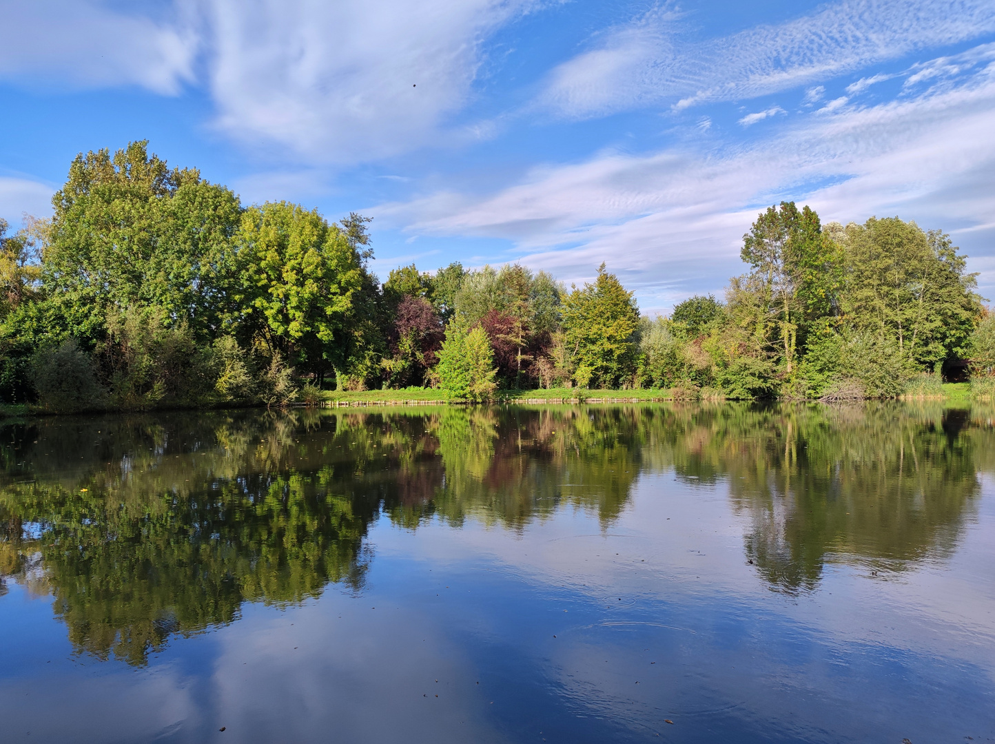 Fischweiher