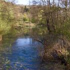 Fischweiher