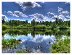 Fischweiher