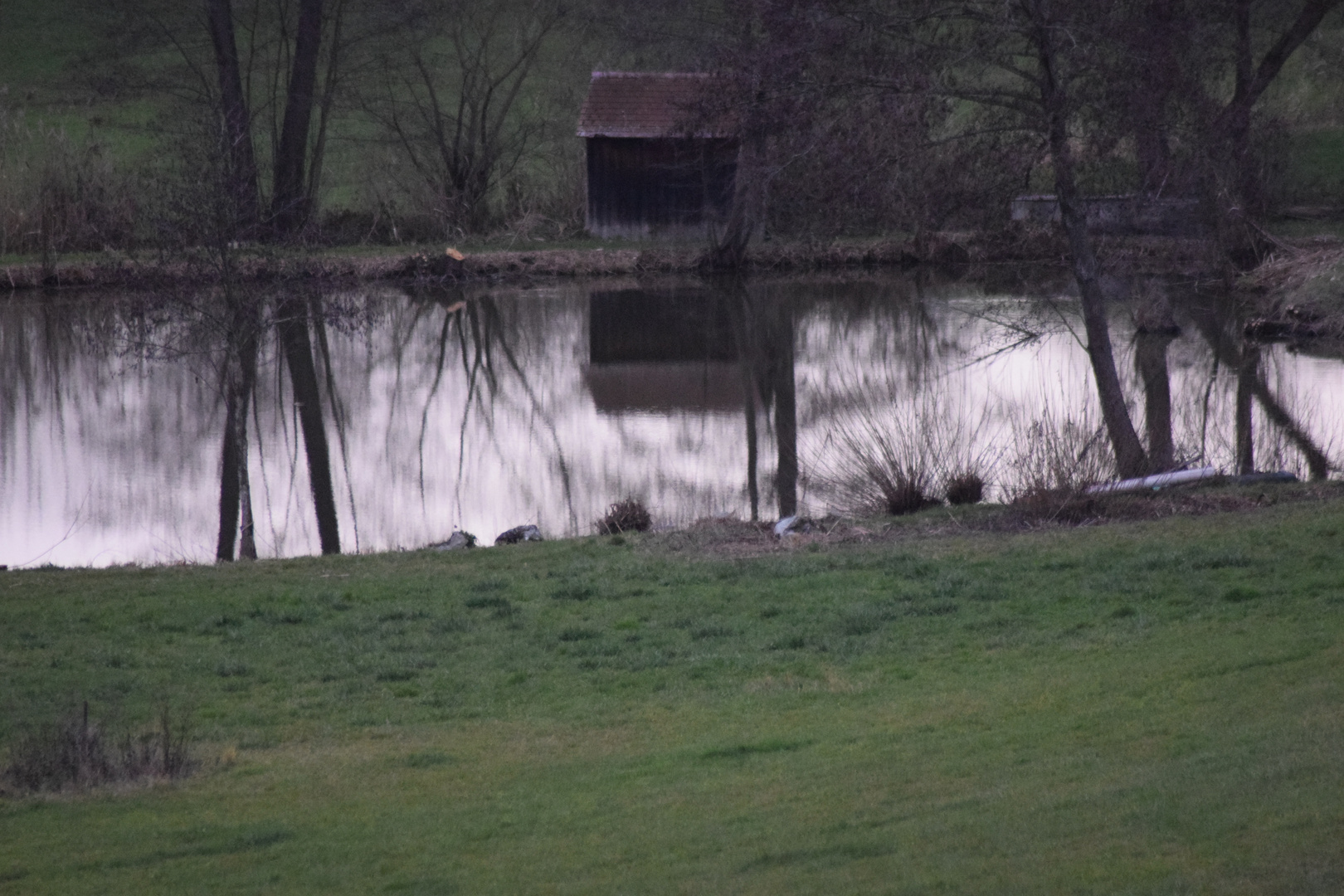 Fischweiher