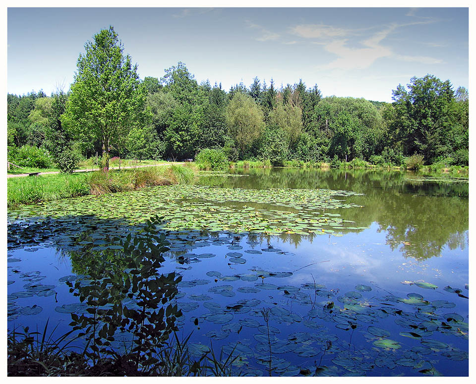 Fischweiher bei Bous