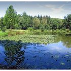 Fischweiher bei Bous