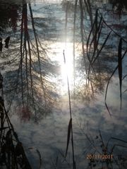 Fischweiher bei Herbstende III