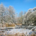 Fischweiher bei Langerringen (Bayern) im Winter