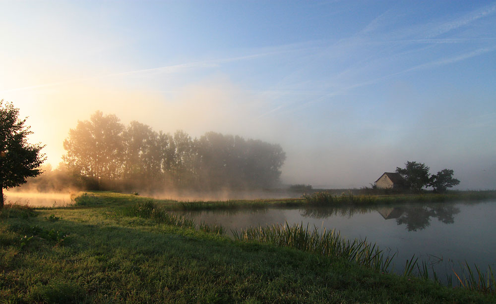 Fischweiher