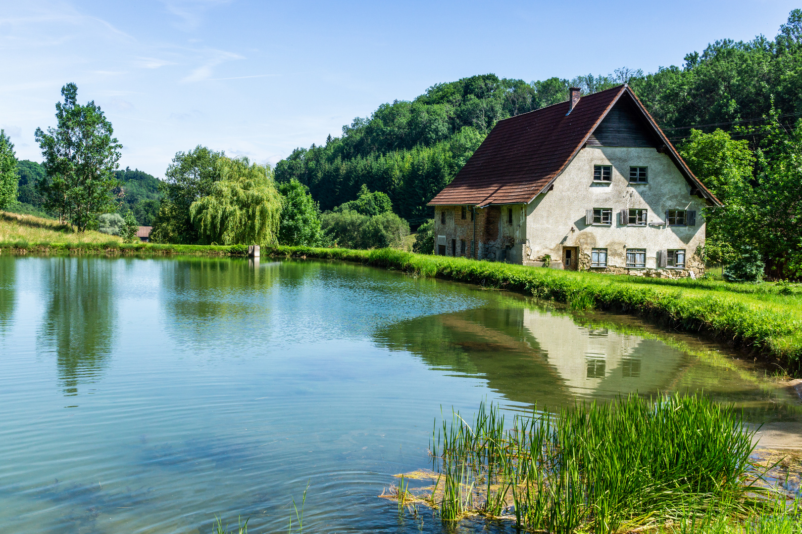 Fischweiher der Gräflich Castell`schen Fischzucht im Ostallgäu