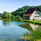 Fischweiher der Gräflich Castell`schen Fischzucht im Ostallgäu