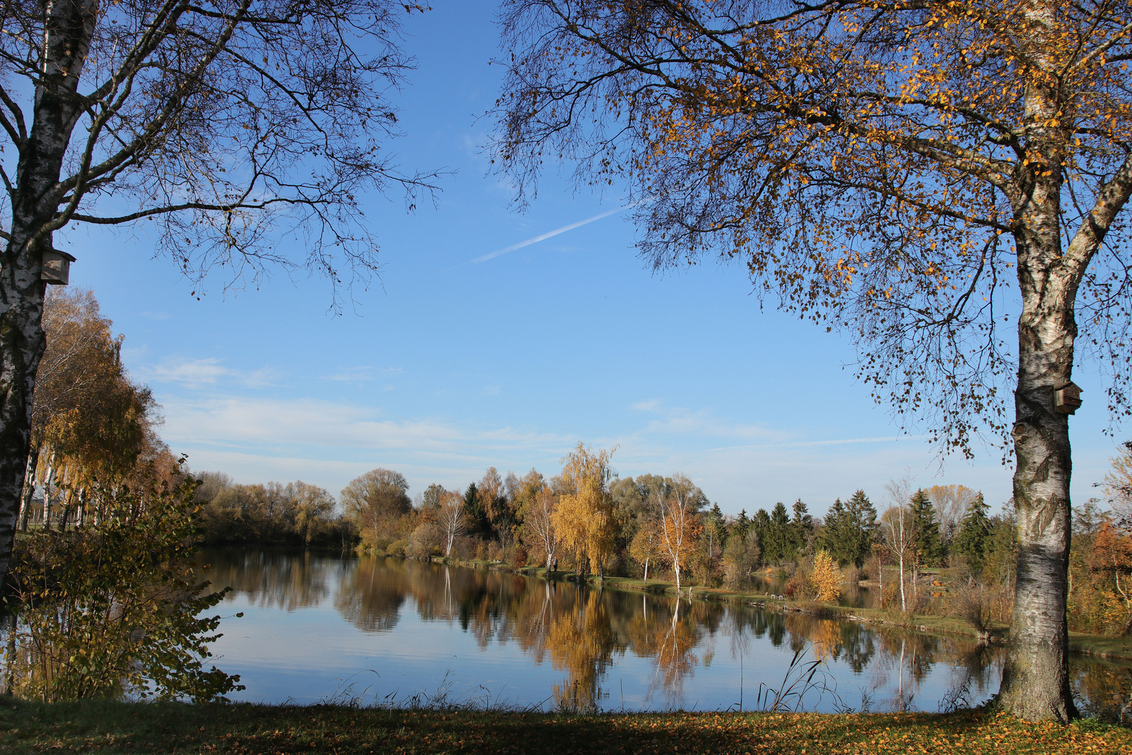 Fischweiher