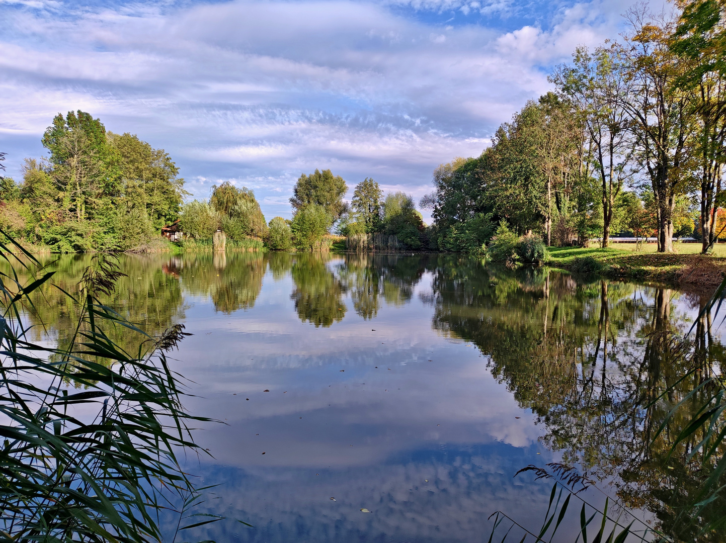 Fischweiher