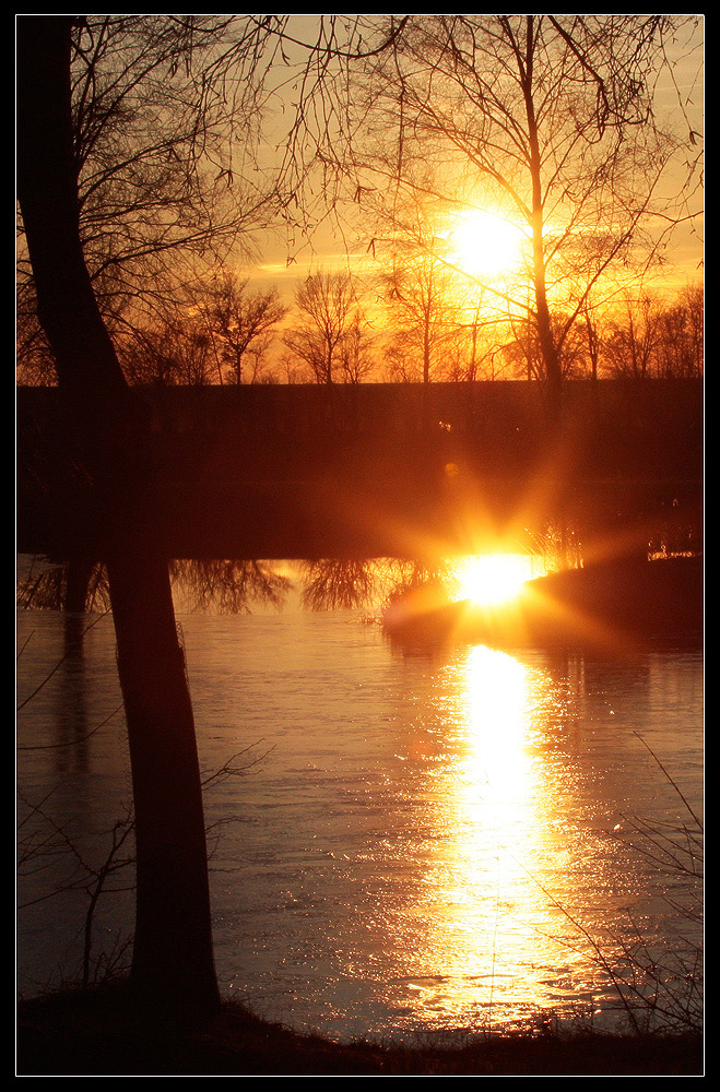 Fischweiher