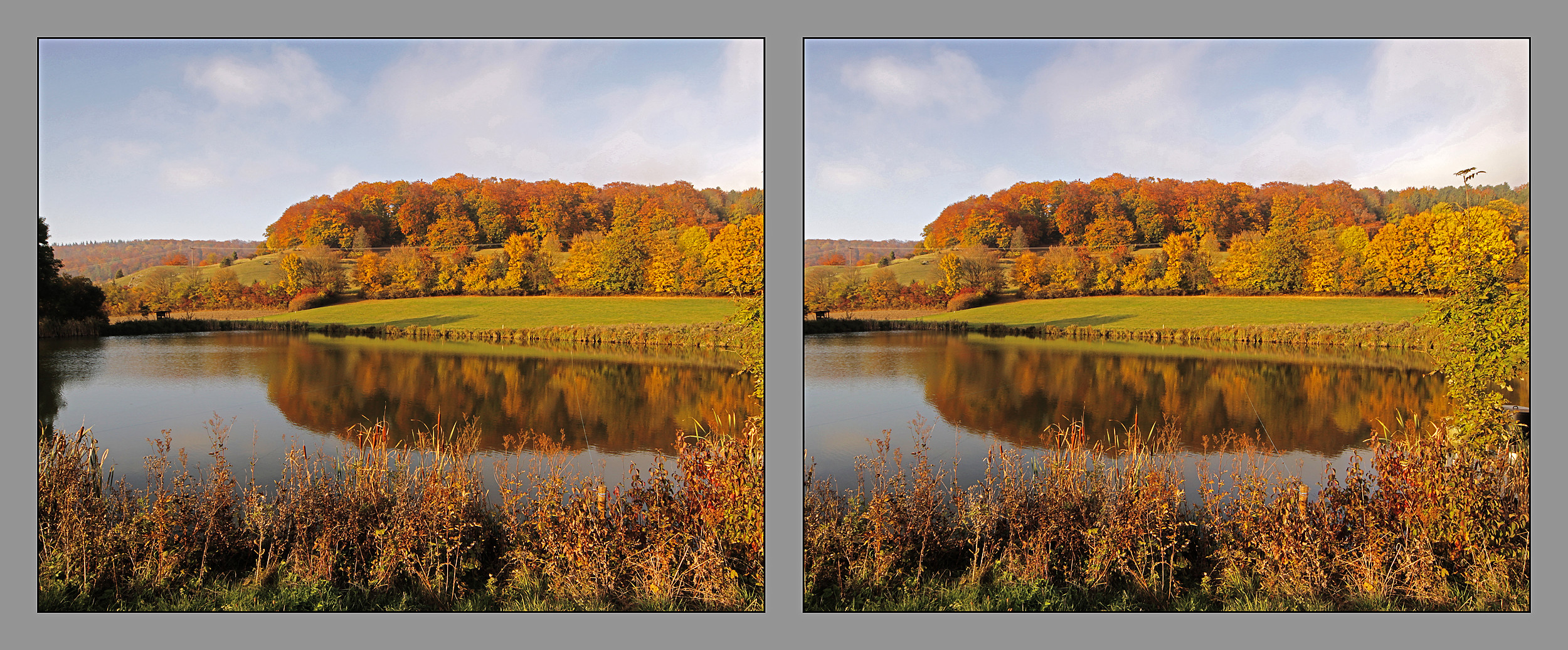 fischweiher gromberg