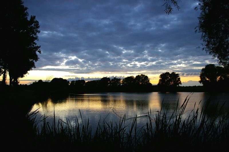 Fischweiher Heilsbronn