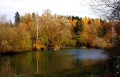 Fischweiher-Idylle