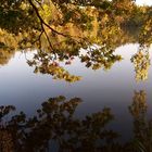 Fischweiher im Abendlicht