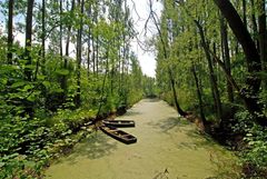 Fischweiher im Hörther NSG