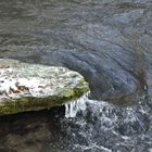 Fischweiher im Mühlbach