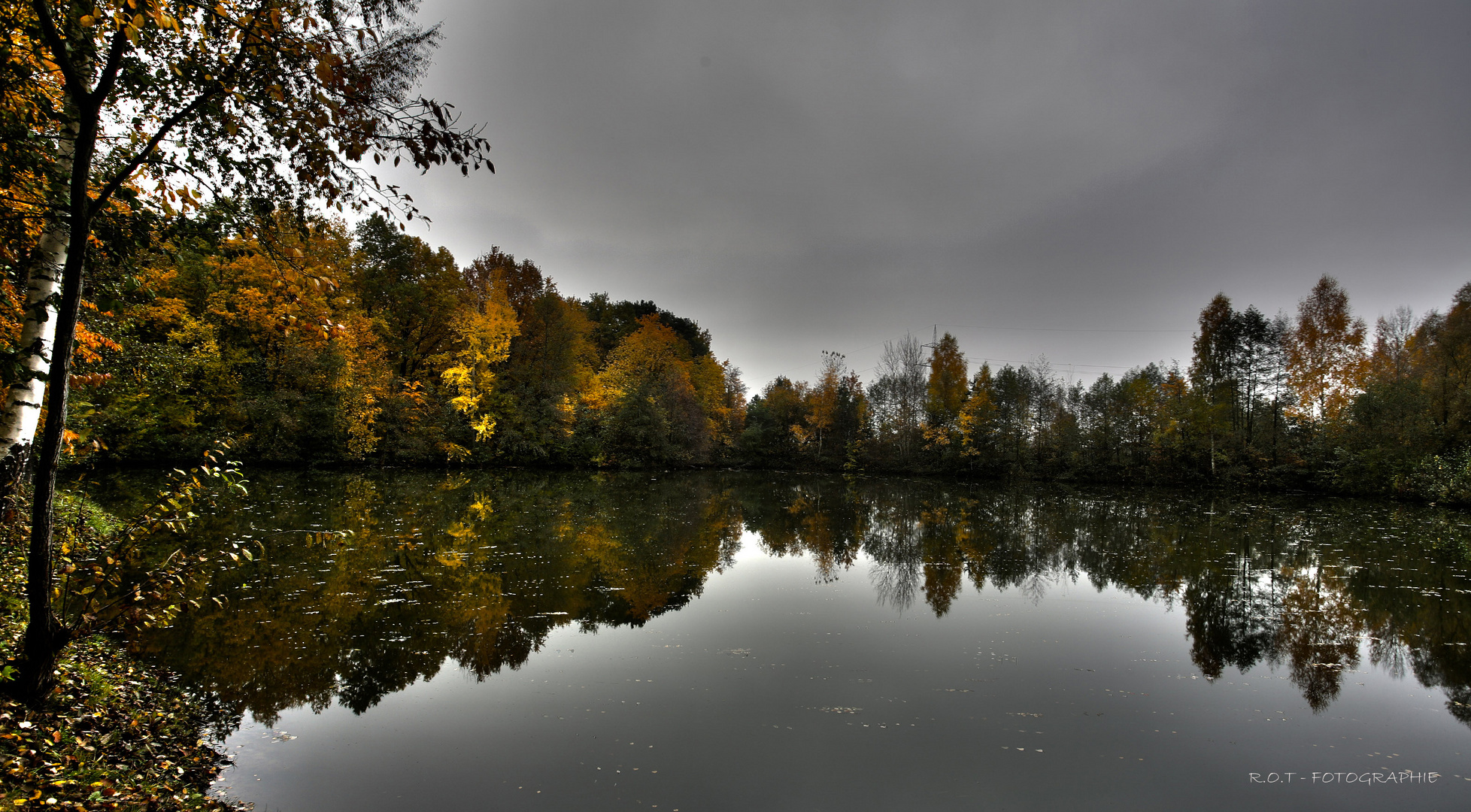 fischweiher im november