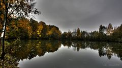 fischweiher im november