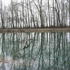 Fischweiher im Winter