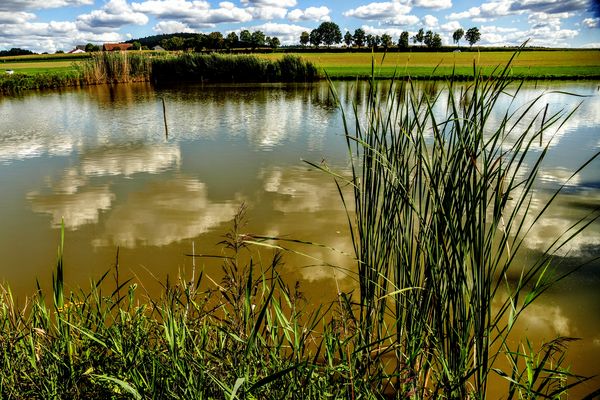 Fischweiher mit Wolkenidylle
